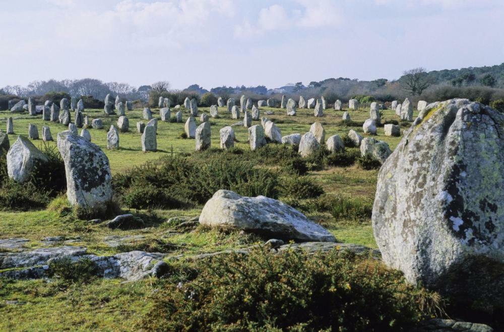 La Palmeraie Vannes Esterno foto