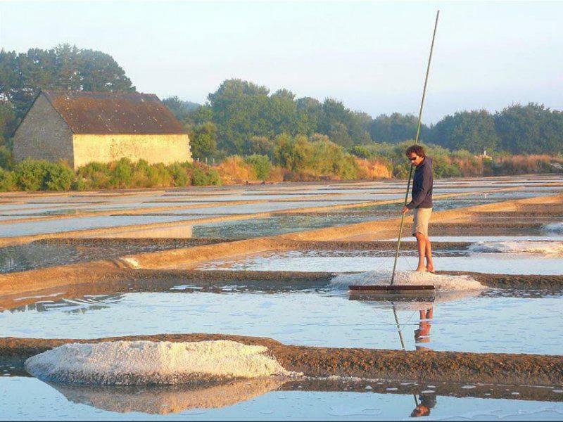 La Palmeraie Vannes Esterno foto